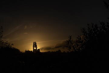 Fototapeta premium 01 - coucher de soleil
