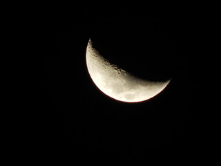 luna © karen