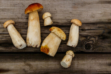 Freshly picked porcini mushrooms on rustic wooden table. Top view