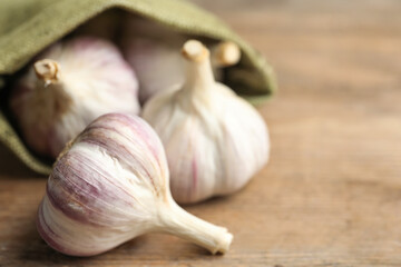 Fresh unpeeled garlic bulbs on wooden table, closeup with space for text. Organic product