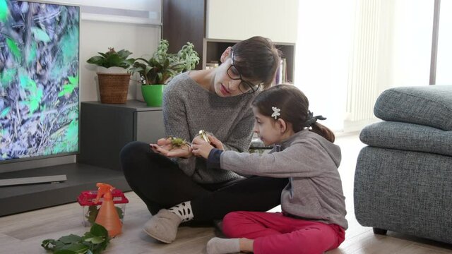 Happy family rearing stick insect or phasmid as pet. Mom and little girl having fun with small animal, learning and watching it. Hobby and science education at home