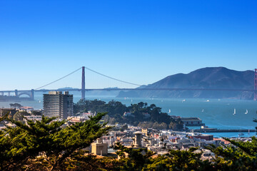 San Francisco city and home landscape.