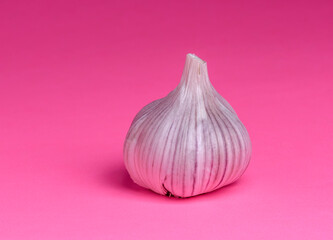A single garlic bulb on a pink background