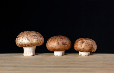 Three mushrooms in a row on wood with a black background