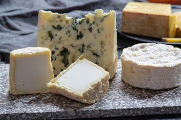 Cheese collection, French cheeses made from goat, cow and sheep melk: semi hard Roquefort blue cheese, soft Chabichou of Poitou and Camembert of Normandy