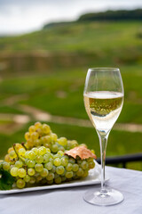Tasting of french sparkling white wine with bubbles champagne on outdoor terrace with view on grand cru Champagne vineyards in Cramant, near Epernay, France