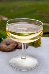 Tasting of french sparkling white wine with bubbles champagne on outdoor terrace with view on grand cru Champagne vineyards in Cramant, near Epernay, France