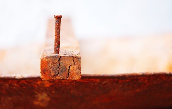 Close-up Of Rusty Nail On Wood