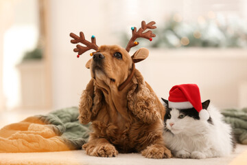 Adorable Cocker Spaniel dog with cat in reindeer headband and Santa hat on blurred background