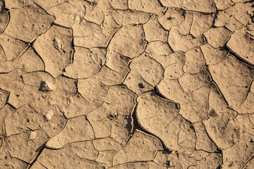 Texture of the dried earth with clay and sand, close-up