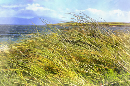 Ventry harbour colorful painting looks like picture, Ireland.