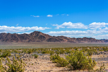 Naklejka premium California Mojave Desert landscape