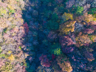 Late, autumn, scenery, of, Qingliangzhai, Scenic, Area, in, Wuhan, Hubei