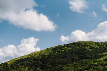 Obraz premium Landscape photo of the peak of mountain. Background. Green grass. Wild forest. Blue sky. Grey clouds