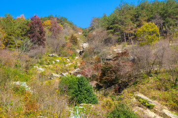 Late, autumn, scenery, of, Qingliangzhai, Scenic, Area, in, Wuhan, Hubei