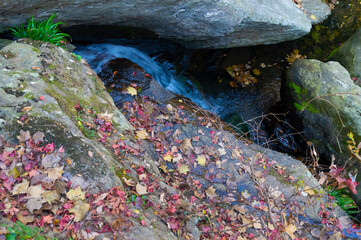 Late, autumn, scenery, of, Qingliangzhai, Scenic, Area, in, Wuhan, Hubei