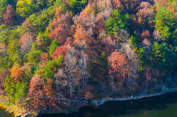 Late, autumn, scenery, of, Qingliangzhai, Scenic, Area, in, Wuhan, Hubei