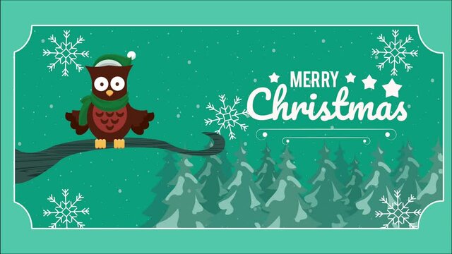 happy merry christmas card with owl bird