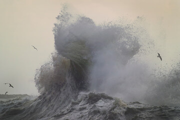 Stormy and powerful waves crash against the cliffs of Cape Disappointment - Powered by Adobe