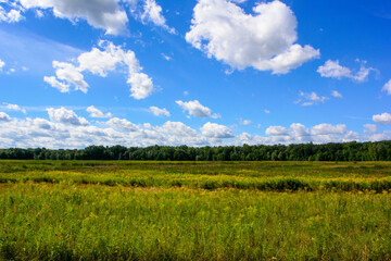 Obraz premium field and blue sky