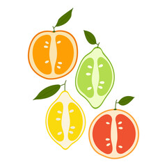 Fresh Grapefruit, Lemon, Lime and Orange slices