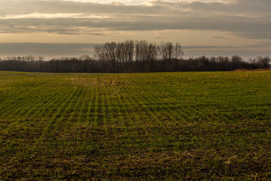 autumn november sunset in the field © Jerzy