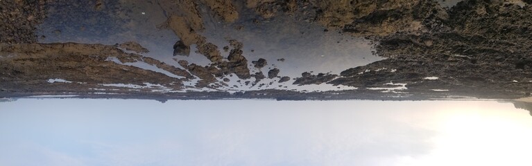 autumn in the forest