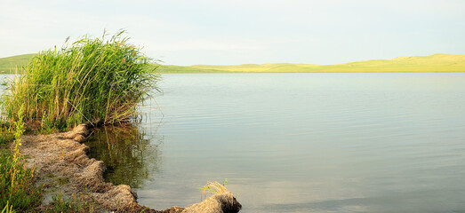 A fragment of the shores of a picturesque lake surrounded by hills overgrown with high reeds.