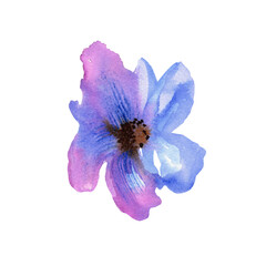 Cute watercolor hand painted purple flower. For design of invitation, wedding card, birthday card
