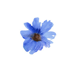 Cute watercolor hand painted blue flower. For design of invitation, wedding card, birthday card