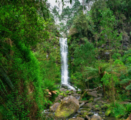 Panoramic view Erskin falls Otway Ranges plunging down a 30-metre drop cascading water lush green...