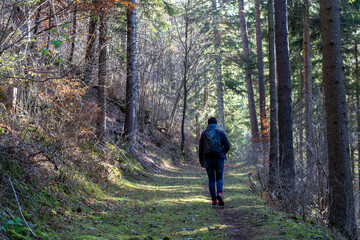 Obraz premium Bei Horgen in der nähe von Rottweil BW