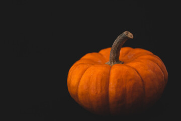 interesting pumpkin close up, selective focus