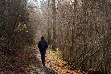 Bei Horgen in der nähe von Rottweil BW