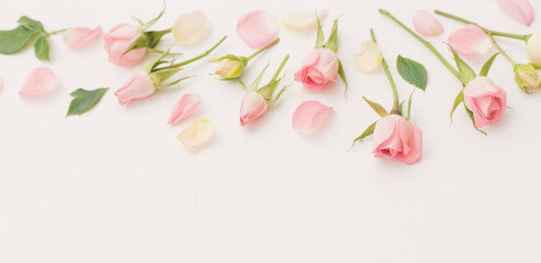 Plakat pink and white flowers on white paper background