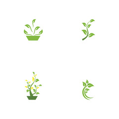 Set Leaf Logo Template vector symbol nature