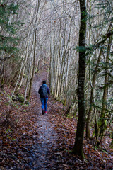 Obraz premium Bei Horgen in der nähe von Rottweil BW