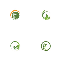 Set Leaf Logo Template vector symbol nature