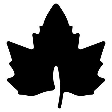 Leaf Glyph Vector 