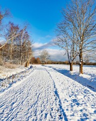 snowy and sunny day in winter park
