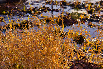 秋空のダム公園　北海道　小平町