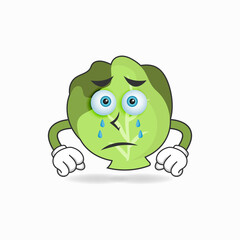 Cabbage mascot character with sad expression. vector illustration