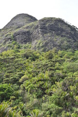 Fototapeta na wymiar View of Baldy Mountain from Pararaha Valley