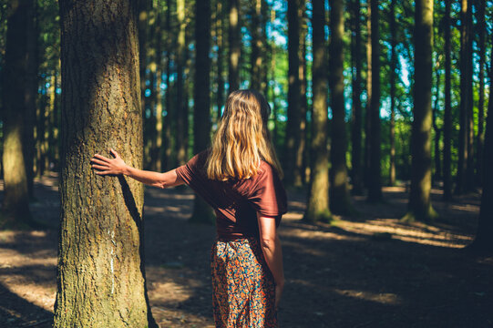 Young woman touching a tree in the forest