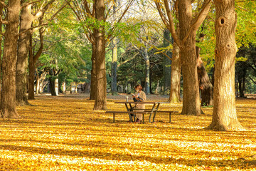 公園で読書する女性　Woman reading in the park