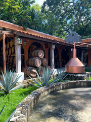 Production of tequila in Mexico. Old factory for the production of tequila. Side view of the barrels of alcohol in the yard of the factory. Concept of tourism and traditions