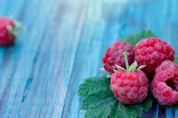 Raspberry close-up. Right on a blue wooden table several red raspberries. Free space for text on the left.