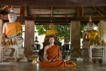 Buddhist monks meditate to calm the mind. The brain will refresh the secretion of Indoine. Make...