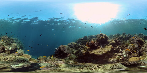 Fototapeta na wymiar Tropical coral reef. Scene reef. Marine life sea world. Underwater fish reef marine. Philippines. Virtual Reality 360.