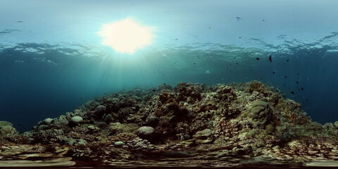 Fototapeta na wymiar Beautiful underwater landscape with tropical fish and corals. Hard and soft corals, underwater landscape. Travel vacation concept. Philippines. 360 panorama VR